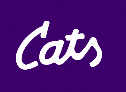 Kansas State Wildcats 1988 Wordmark Logo fabric transfers
